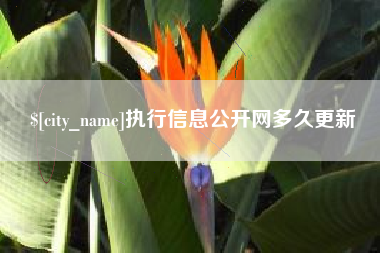 乌海执行信息公开网多久更新
