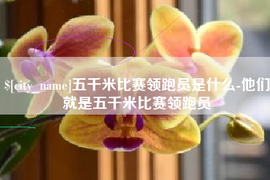 乌海五千米比赛领跑员是什么-他们就是五千米比赛领跑员