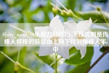 乌海60米接力赛技巧-下压式则是传棒人将棒的前部由上向下传到接棒人手中