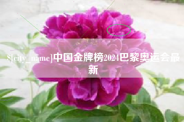 乌海中国金牌榜2024巴黎奥运会最新