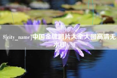 乌海中国金牌图片大全大图高清无水印