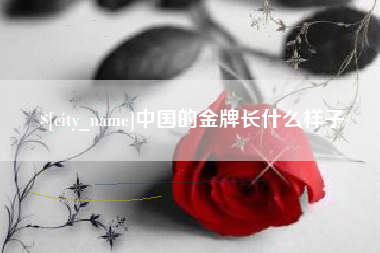乌海中国的金牌长什么样子