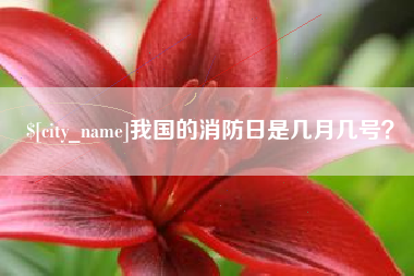 乌海我国的消防日是几月几号？