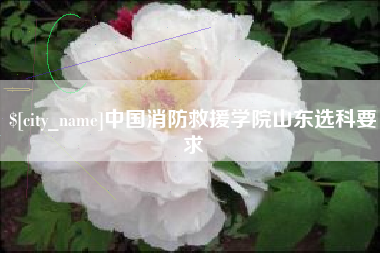 乌海中国消防救援学院山东选科要求