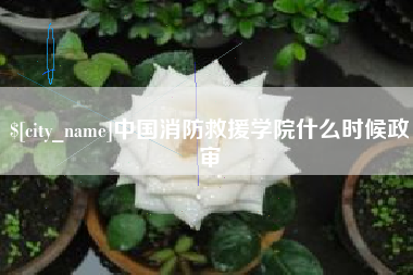 乌海中国消防救援学院什么时候政审