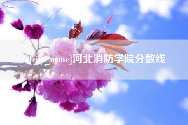乌海河北消防学院分数线