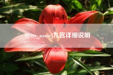 乌海九宫详细说明