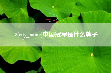 乌海中国冠军是什么牌子
