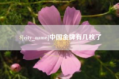 乌海中国金牌有几枚了