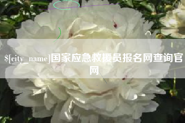 乌海国家应急救援员报名网查询官网