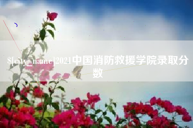 乌海2021中国消防救援学院录取分数