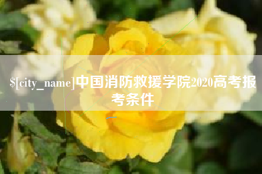 乌海中国消防救援学院2020高考报考条件