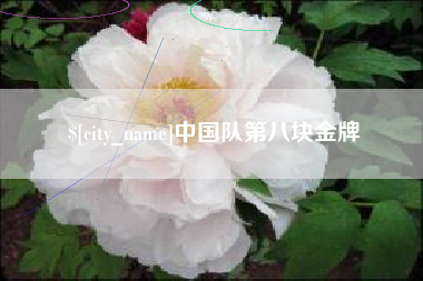 乌海中国队第八块金牌