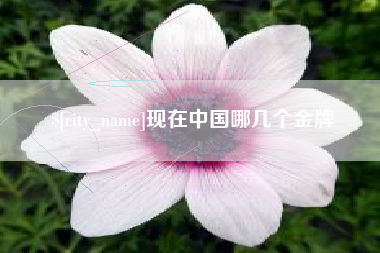乌海现在中国哪几个金牌