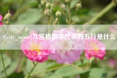 乌海九宫格数字代表的五行是什么