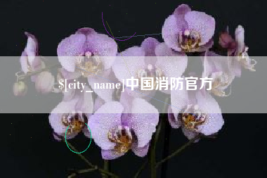 乌海中国消防官方