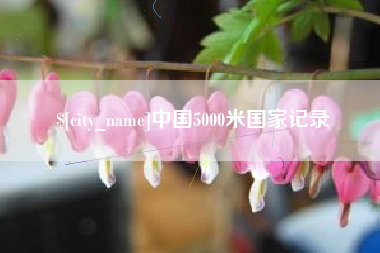 乌海中国5000米国家记录