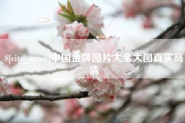 乌海中国金牌图片大全大图真实高清