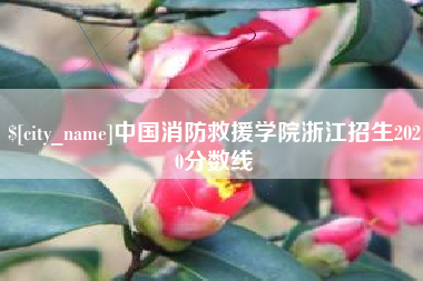 乌海中国消防救援学院浙江招生2020分数线