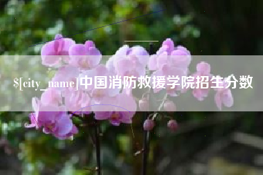乌海中国消防救援学院招生分数