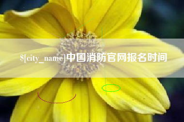 乌海中国消防官网报名时间