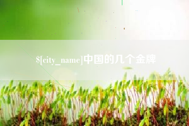 乌海中国的几个金牌