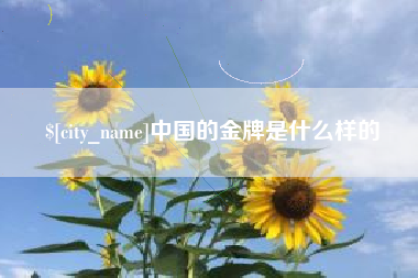 乌海中国的金牌是什么样的