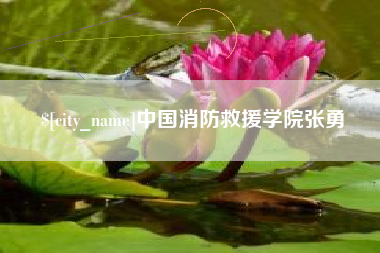 乌海中国消防救援学院张勇