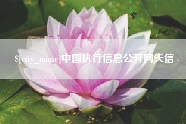 乌海中国执行信息公开网失信