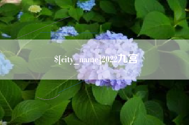 乌海2022九宫