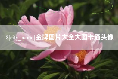 乌海金牌图片大全大图卡通头像