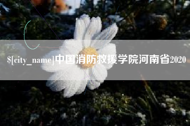乌海中国消防救援学院河南省2020