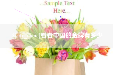 乌海看看中国的金牌有多少